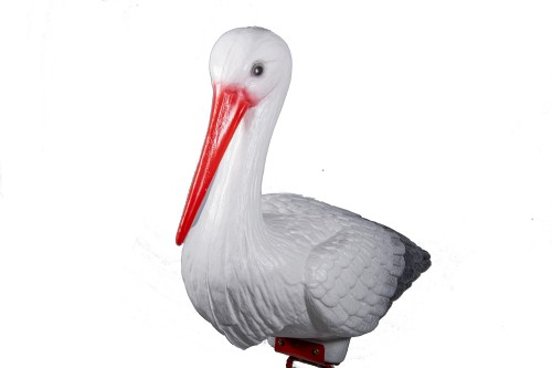 Bocian Średni