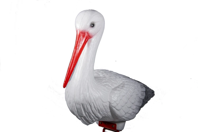Bocian Średni