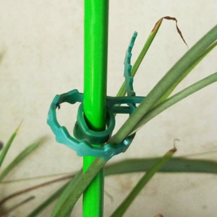 Spinki ogrodowe