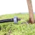 Kroplownik 2l/h