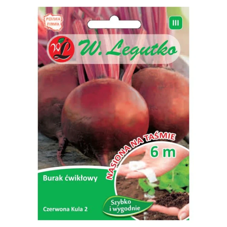 Burak ćwikłowy Czerwona Kula 2 - na taśmie 6m