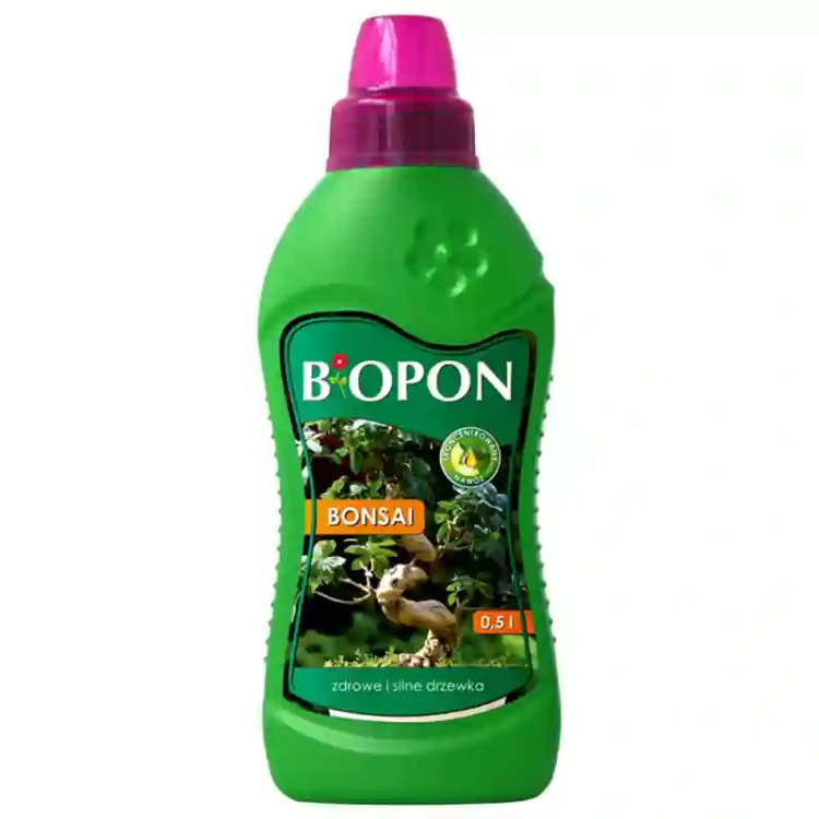 aadad.webp