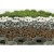 Geokrata Multigravel 60x60
