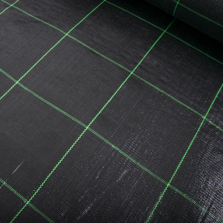 Agrotkanina 100g/m2 SXP