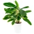 Doniczka Eria fi 13 cm - 1,6 L