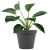 Doniczka Patio fi 26 cm - 7 L