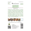 Dziewanna - mieszanka gatunków wieloletnich