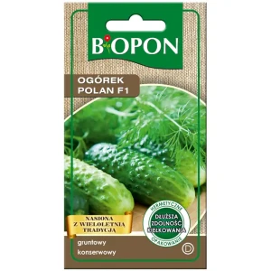 Ogórek POLAN F1