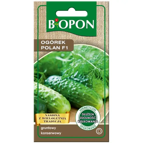 Ogórek POLAN F1