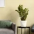Doniczka Patio fi 26 cm - 7 L