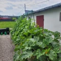 Stelaż ogrodowy