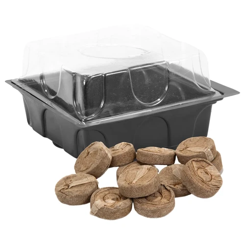 Mini szklarnia z krążkami kokosowymi