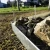 Stalowe obrzeże ogrodowe GARDENBORD PRO 100 mm