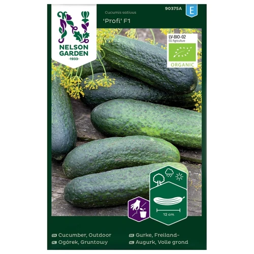 Ogórek gruntowy Profi F1 - BIO