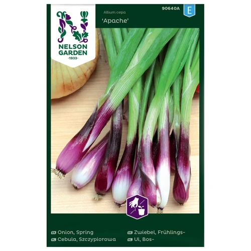 Cebula szczypiorkowa Apache - BIO