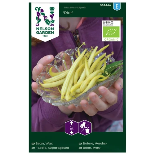 Fasola szparagowa woskowa 'Dior' - BIO