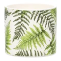 Ceramiczna osłonka 12,5x12,5x11,5 cm paproć