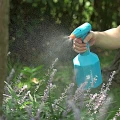Spryskiwacz doniczkowy na baterie 1 L