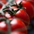 swieze-pomidory-na-oddzial kopia.webp