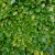 20 kopia.webp