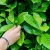 22 kopia.webp