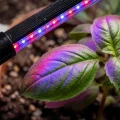 Lampka LED do uprawy roślin
