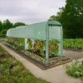 Tunel ogrodowy na pomidory - 3x1x2 m fot. 03