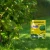 Nasiona Trawy Barenbrug Shadow fot3