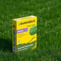 Nasiona Trawy Barenbrug Shadow fot5
