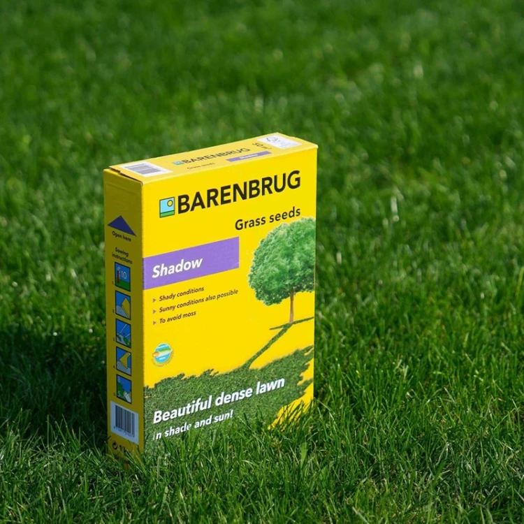 Nasiona Trawy Barenbrug Shadow fot5