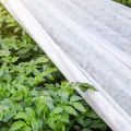 Agrowłóknina biała wiosenna 30G do ochrony przed mrozem