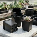 Doniczka produkcyjna kwadratowa 1l czarna do sadzonek - 11x11x12 cm