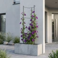 Pergola kolumnowa PRIMO 160 cm - Metalwoa podpora do róż