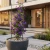 Pergola kolumnowa PRIMO 160 cm - Metalwoa podpora do róż