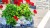 Gabion Olimpia