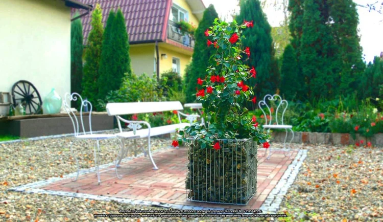 Donica z drutu nierdzewnego