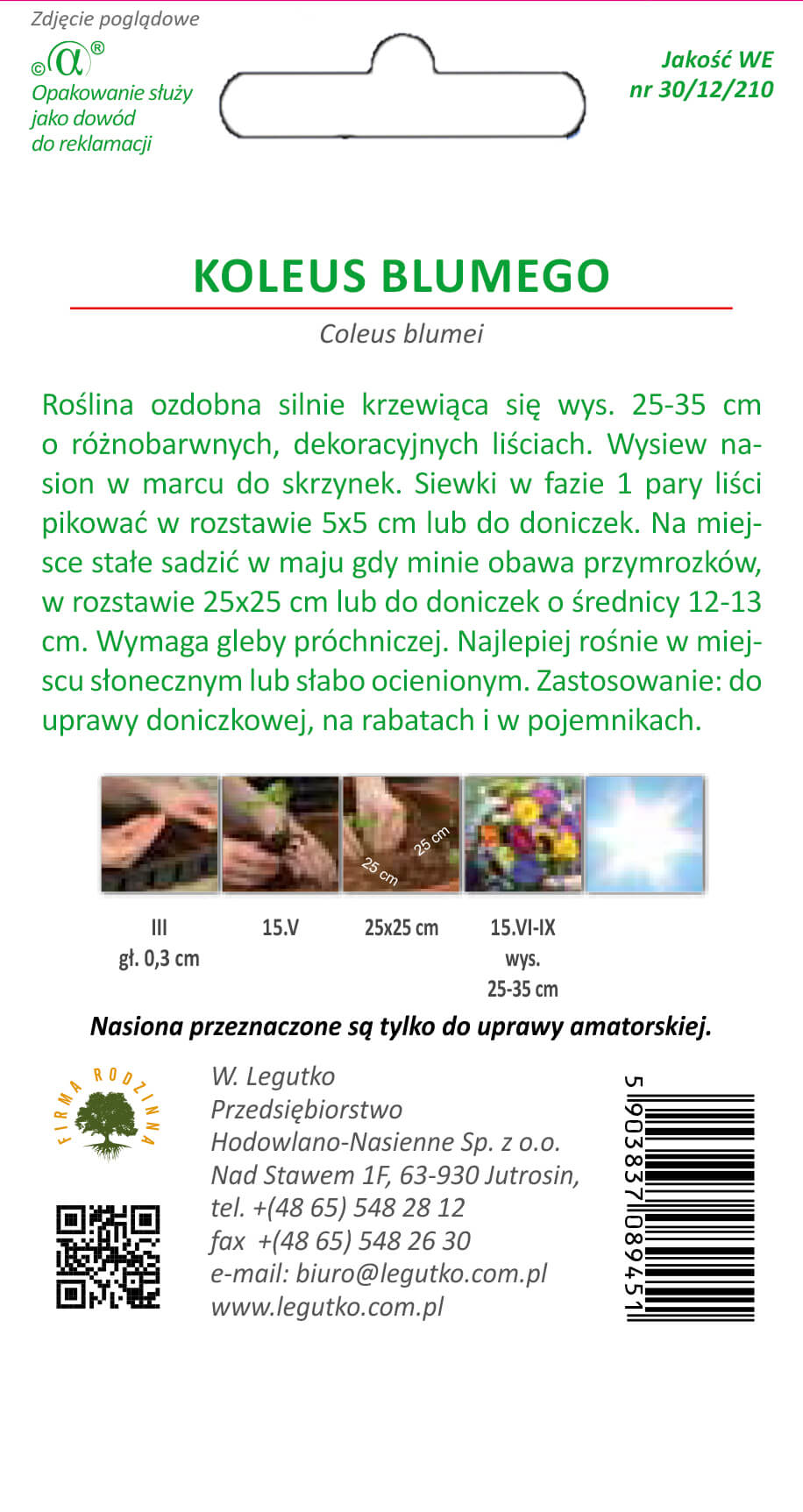 Koleus Standard mieszanka