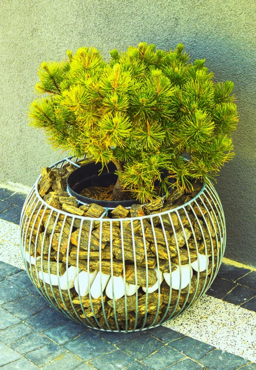 Gabion w zastosowaniu