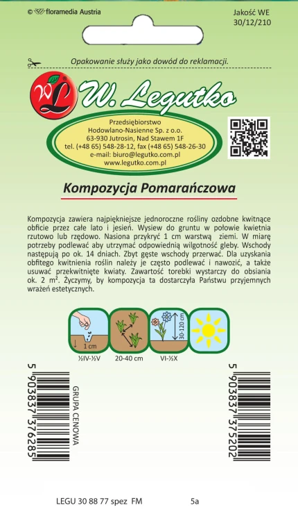 Kompozycja pomarańczowych kwiatów