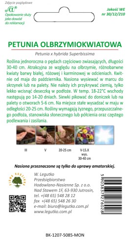 Petunia ogrodowa Smolicka mieszanka