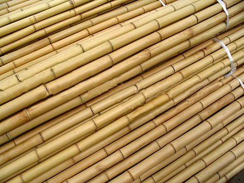 Bambusy - tyczki do roślin