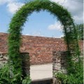 Pergola ogrodowa