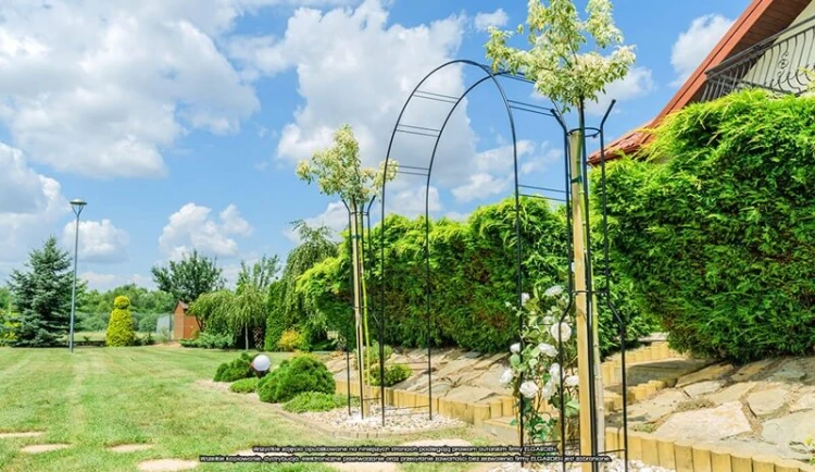 Pergola Capri