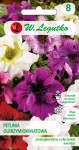 Petunia olbrzymiokwiatowa Smolicka mieszanka