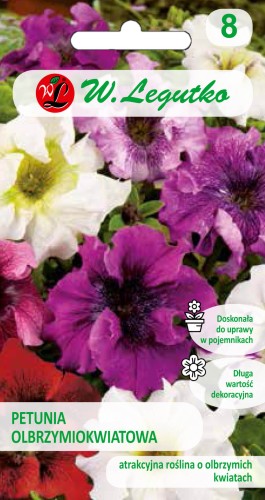 Petunia ogrodowa Smolicka mieszanka