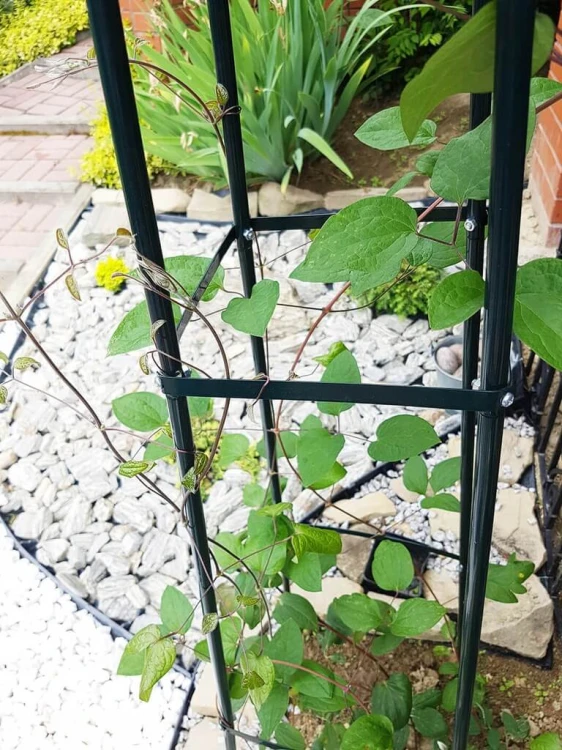 Konstrukcja pergoli piramidy