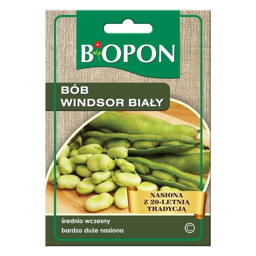 Bób Windsor biały