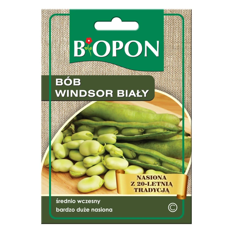 Bób Windsor biały