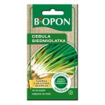 Cebula siedmiolatka - nasiona