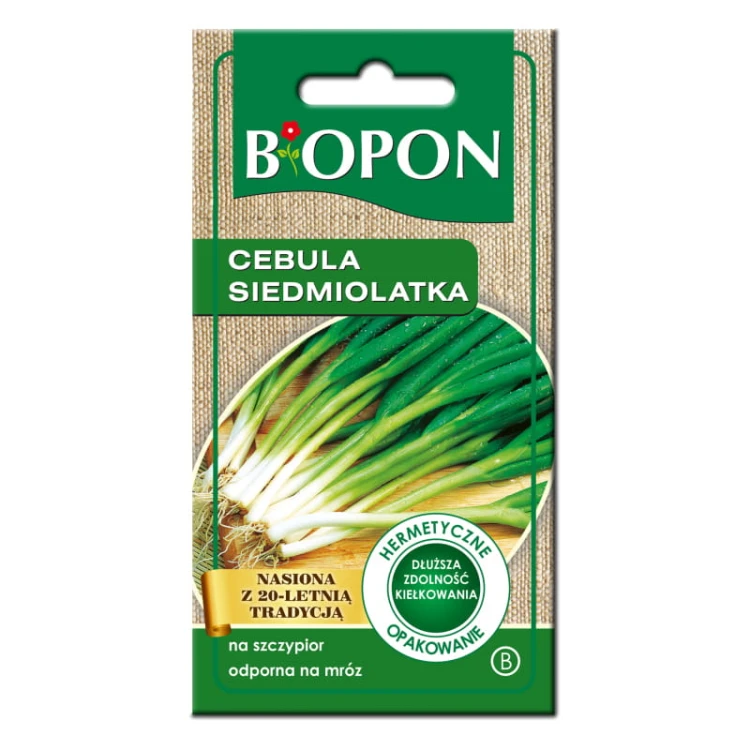 Cebula siedmiolatka